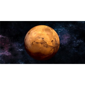 Mars Photo License Plate